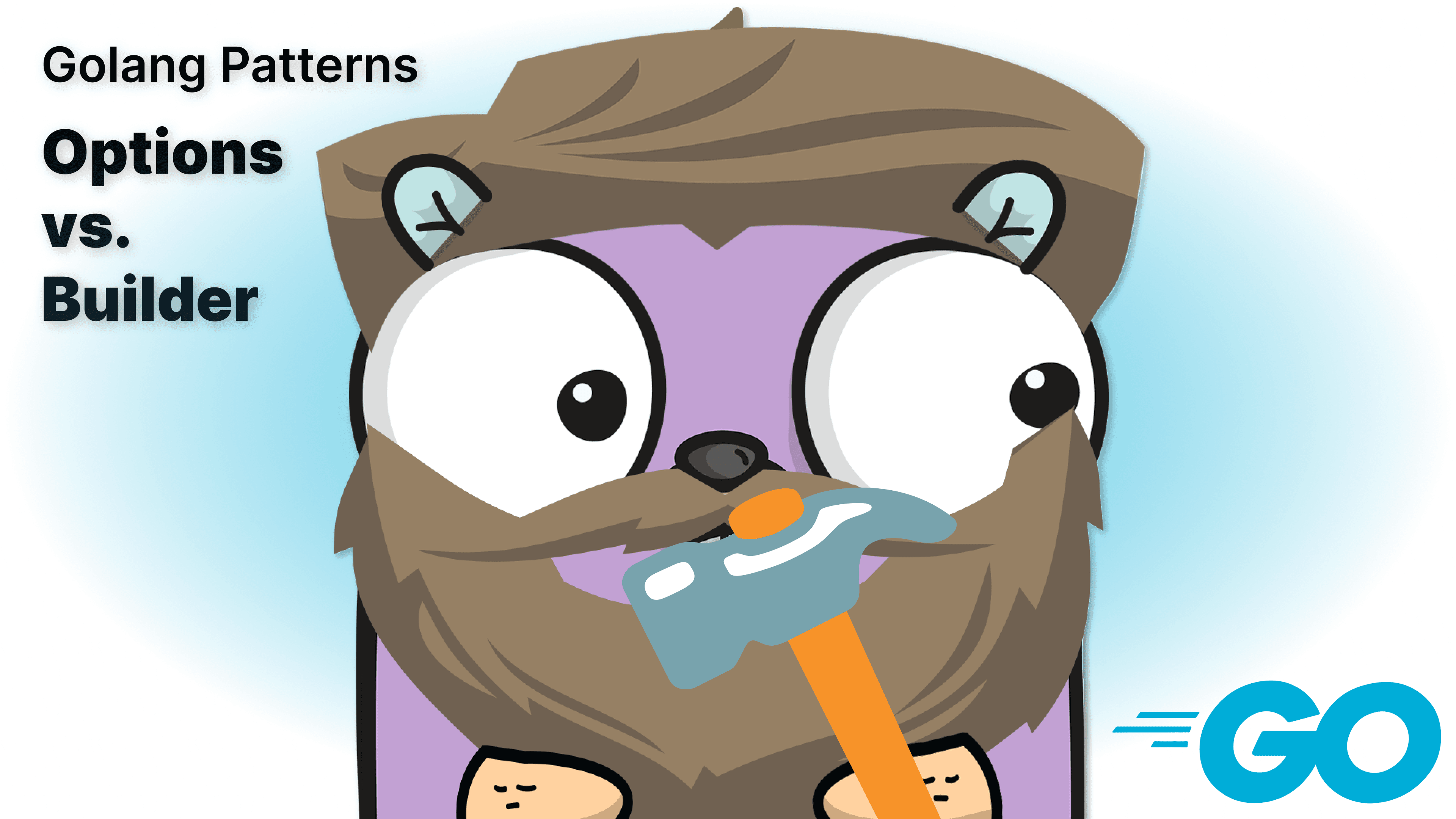 Golang - Options vs Builder Pattern